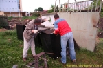 probegvit1
