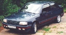 revpeu309