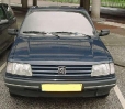 revpeu309