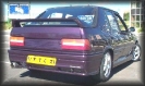 revpeu309