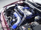 revpeu406