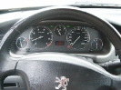 revpeu406